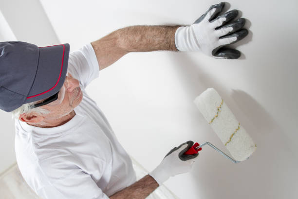 Best Fire-Damaged Drywall Repair  in Olney, IL