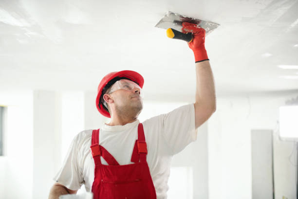 Best Drywall Crack Repair  in Olney, IL