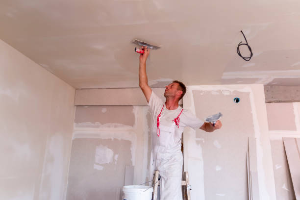 Best Stucco Painting  in Olney, IL